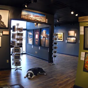 what a beautiful gallery and frame shop!