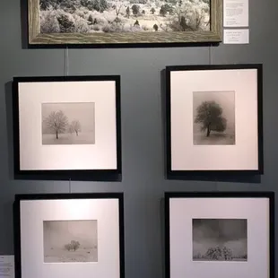 Small Silver Gelatin Prints, little gems