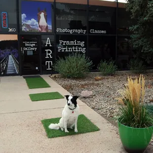 Topper Welcomes Visitors to Range Gallery