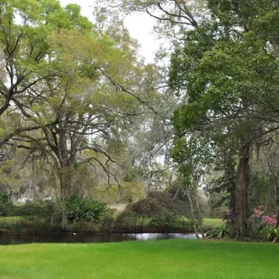 A creek that runs through our gardens