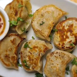 Kothey with Schezwan Chilli sauce