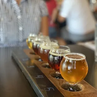 Flights of German lager beer