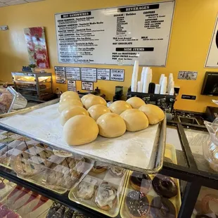 oysters and mussels, interior