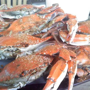 crabs!