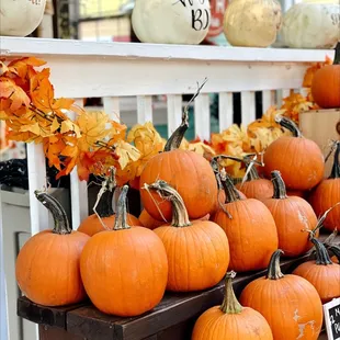 a display of pumpkins