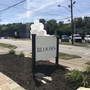 Katie's Blooms launch party!