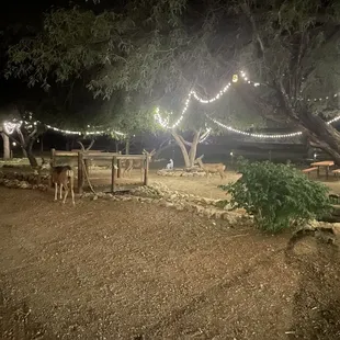 The park area across the driveway from the front porch.