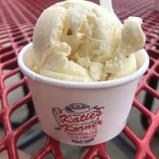 Vanilla bean 1-scoop in a cup
