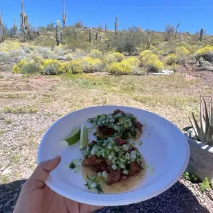 Tripe tacos