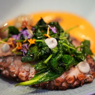 Moroccan Octopus