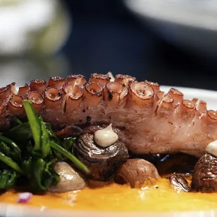 Moroccan Octopus