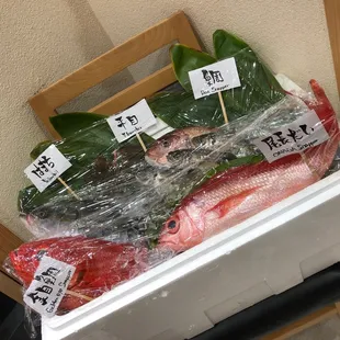 Fresh Fish Plate