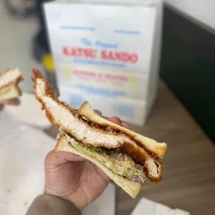 a person holding a sandwich