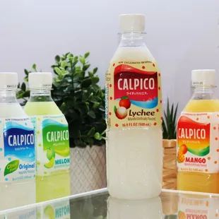 Calpico Drinks (Original, Mango, Melon, Strawberry, Lychee)