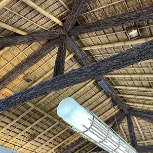 Heads up. What a cool ceiling. November 2022