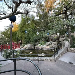 The pond that is relaxing to listen to and watch.