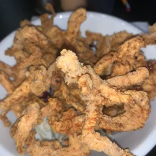 Calamari