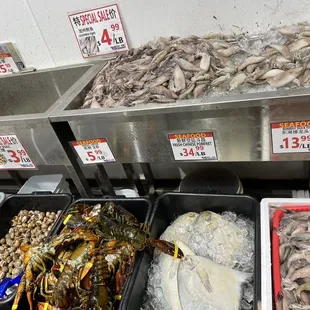 a variety of seafood on display