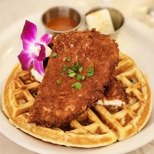 macadamia nut waffle chicken katsu