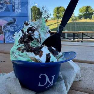 Chocolate Mint Ice cream