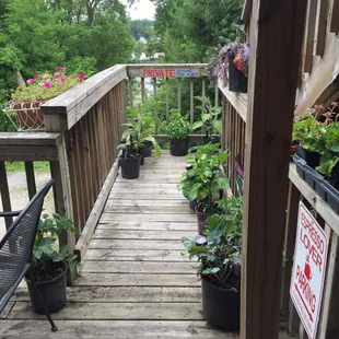 Porch garden, 2016