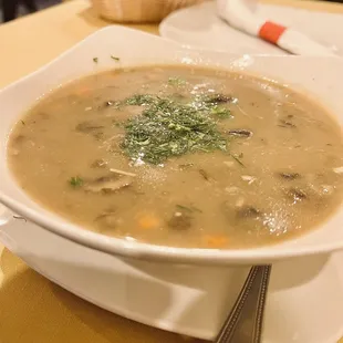 Soup, Gribnoi, with mushrooms and potatos