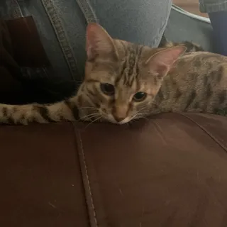 m r.