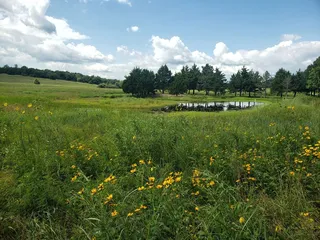 MacLennan Park Trail
