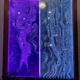 A neat water thing near the front door