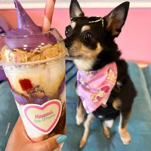Ube halo halo, doggo not included