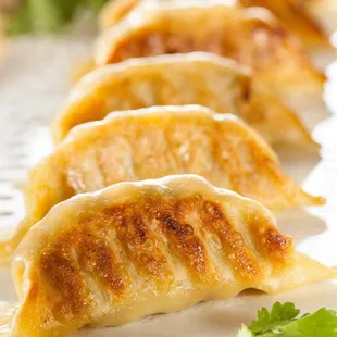 Chicken potstickers