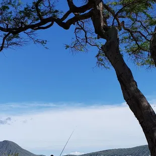 Some fish to eat....