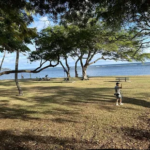 Left side of the park :)