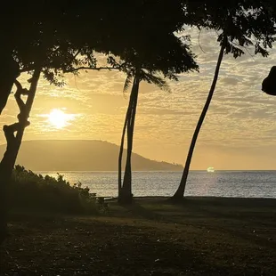 Morning sunrise at the park