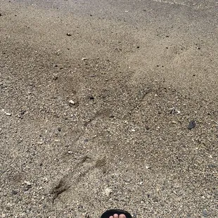 I can walk on the sand here