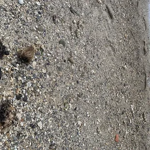 Look how close to the water I can get...