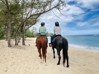 Hawaii Polo Oceanfront Trail Rides