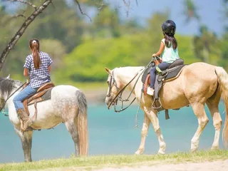 Stables at Turtle Bay
