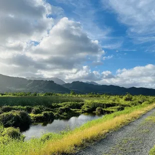 Beautiful and peaceful nature stroll!