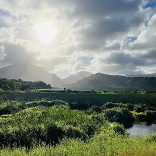 Oh yes nature...brings me much joy :)