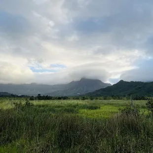 Beautiful view of the mountains