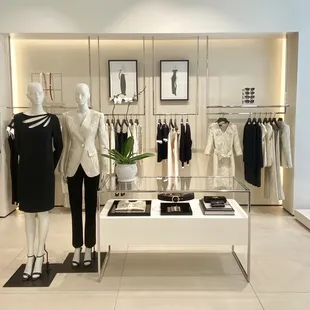 2 Phalaenopsis Orchids and white ceramic pot.