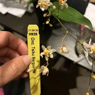 Smells like baby powder!! $20