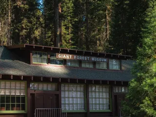 Giant Forest Museum