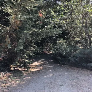 Way to the campsites that are past the bathroom