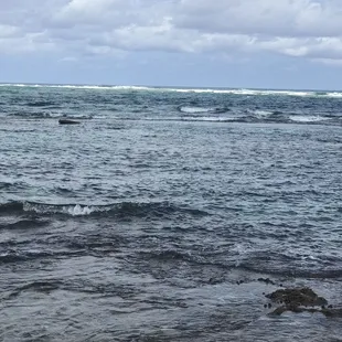 Beautiful ocean views!