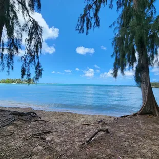 Water was so close to the walking trail