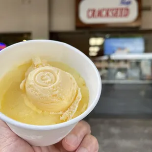 a hand holding a bowl of ice cream