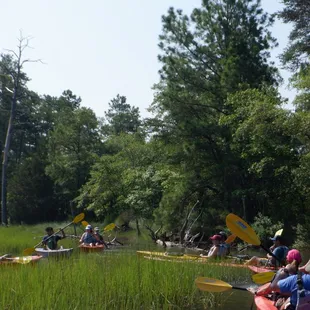 Kayaking First Landing State park in Virginia Beach, Va.