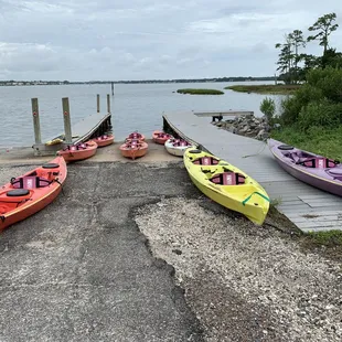 Kayak Tour at First Landing State Park